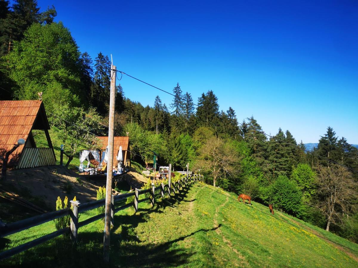 Glamping Mm Ξενοδοχείο Muta Εξωτερικό φωτογραφία
