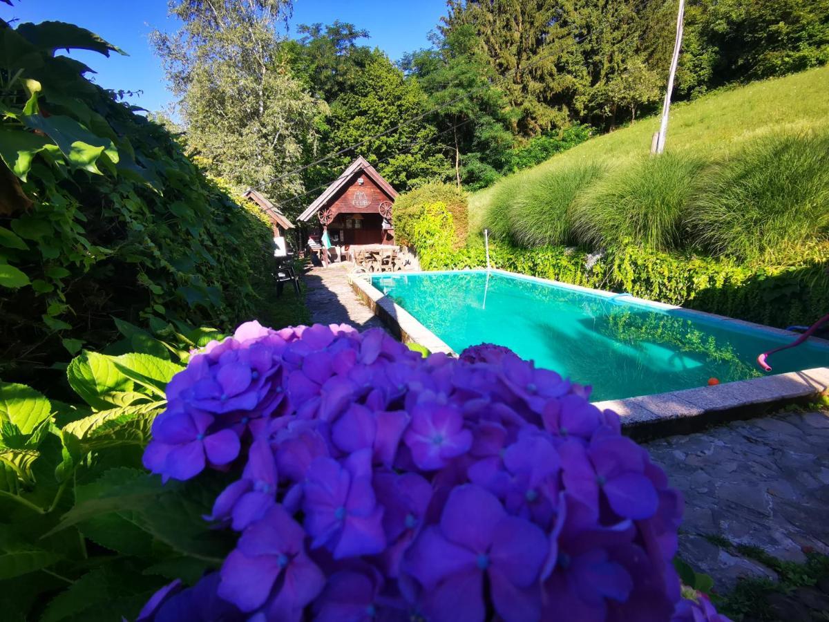 Glamping Mm Ξενοδοχείο Muta Εξωτερικό φωτογραφία
